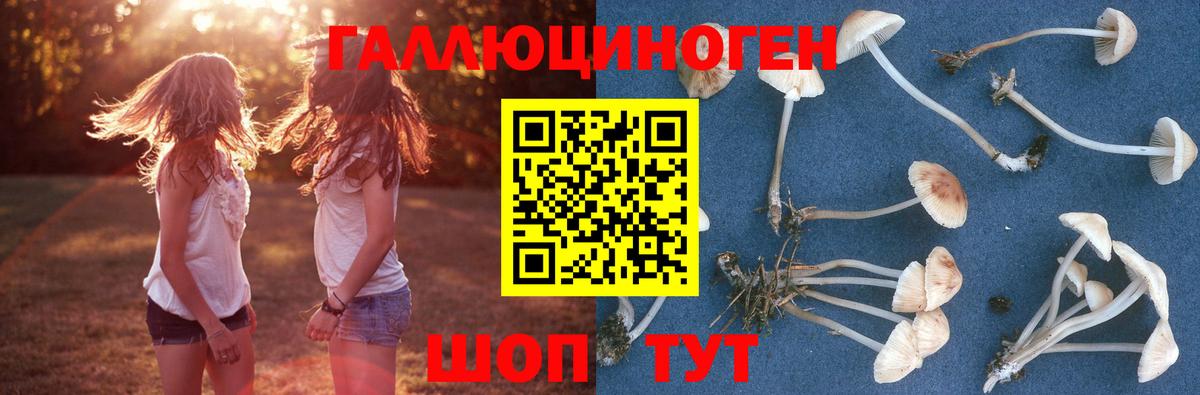 Галлюциногенные грибы мицелий Лабытнанги